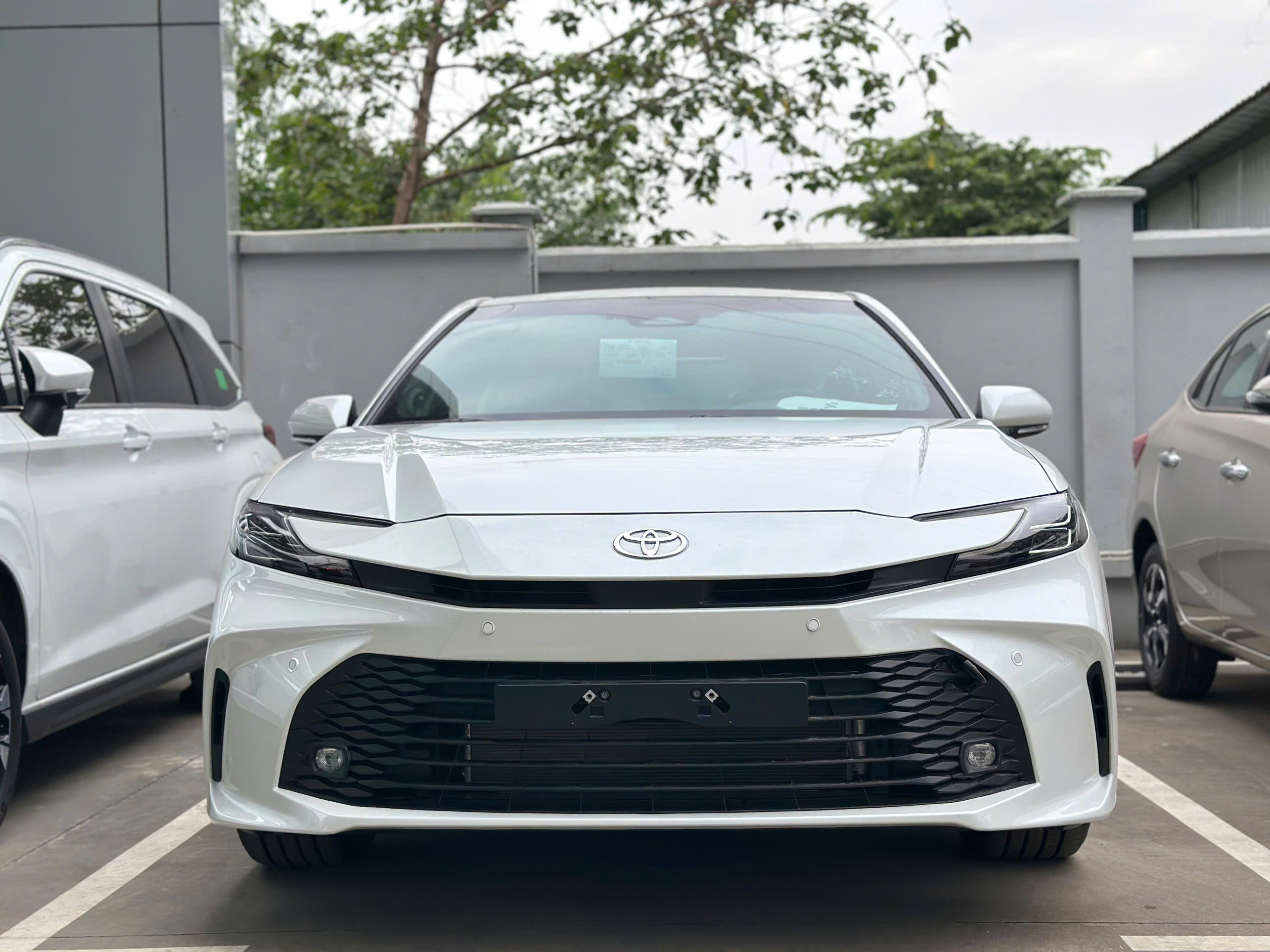 Camry 2025 màu trắng ngọc trai