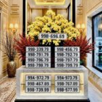 Biển số đẹp Bắc Ninh | Kinh nghiệm đấu giá, sở hữu biển số VIP và đăng ký xe nhanh nhất